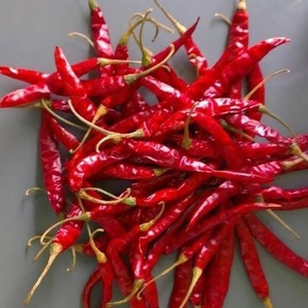 s-14_chilli