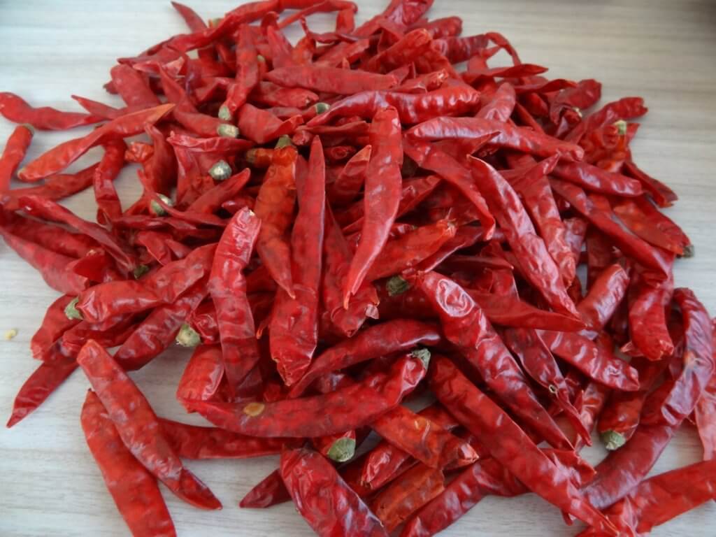 s12_chilli